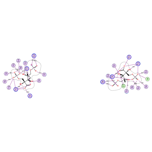 ligand interaction