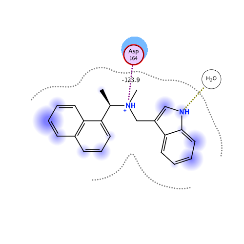 ligand interaction