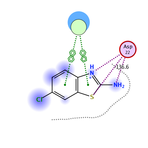 ligand interaction