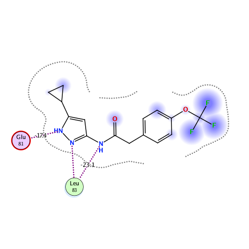 ligand interaction