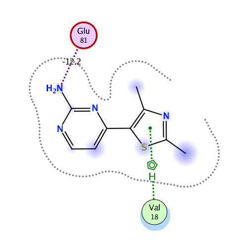 ligand interaction