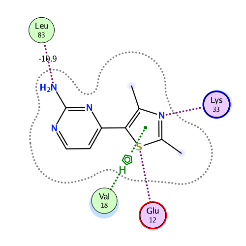 ligand interaction