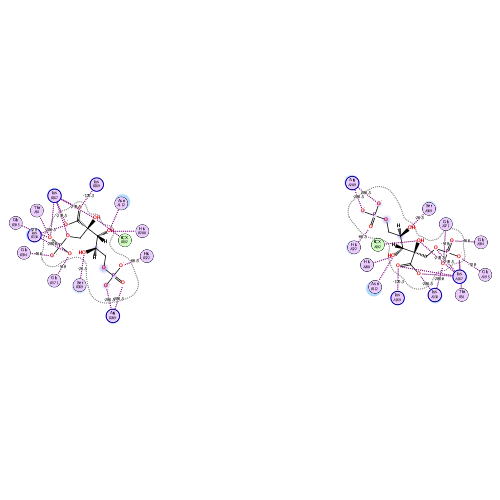 ligand interaction