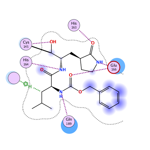 ligand interaction