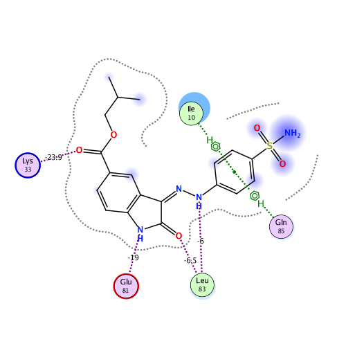 ligand interaction