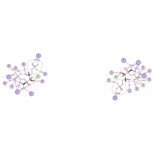 ligand interaction