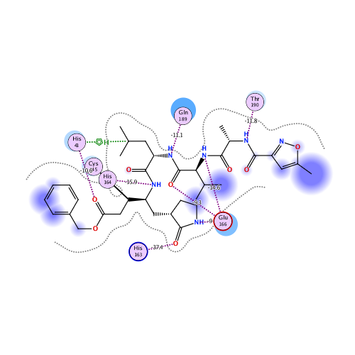 ligand interaction