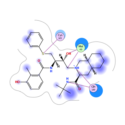 ligand interaction