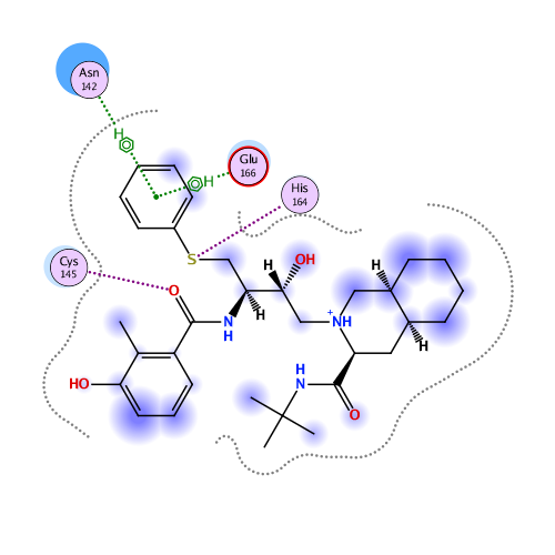 ligand interaction