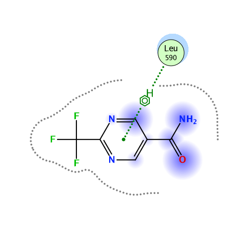 ligand interaction