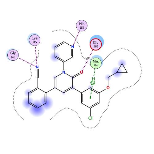 ligand interaction