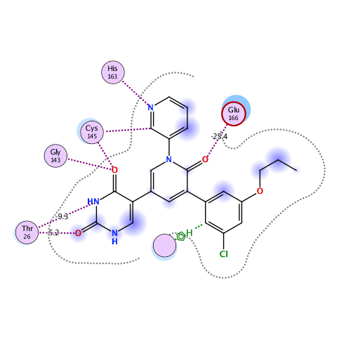 ligand interaction