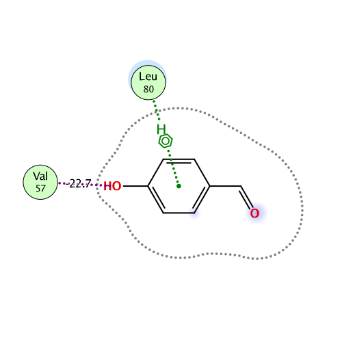 ligand interaction