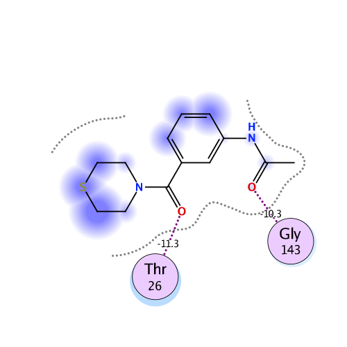 ligand interaction