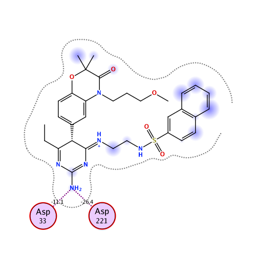ligand interaction