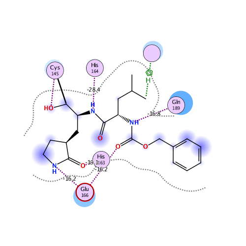 ligand interaction