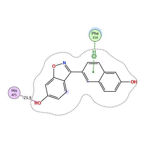 ligand interaction
