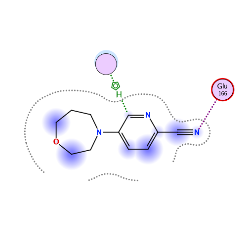 ligand interaction