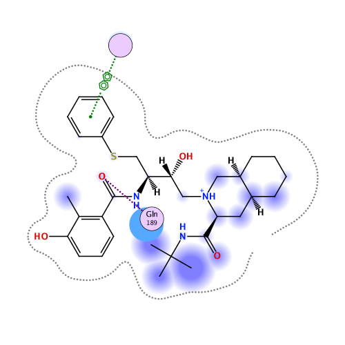ligand interaction