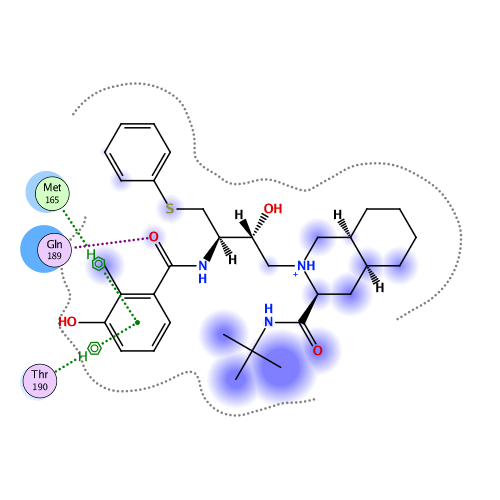 ligand interaction