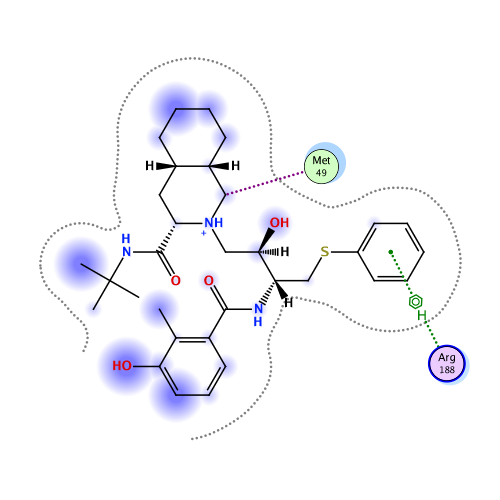 ligand interaction