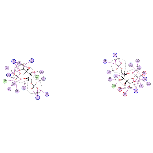 ligand interaction