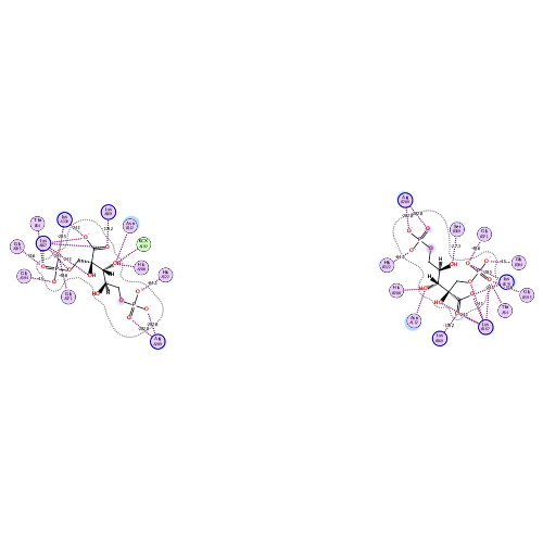 ligand interaction