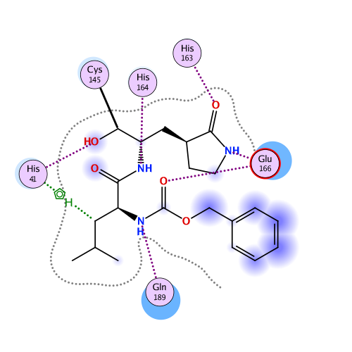 ligand interaction