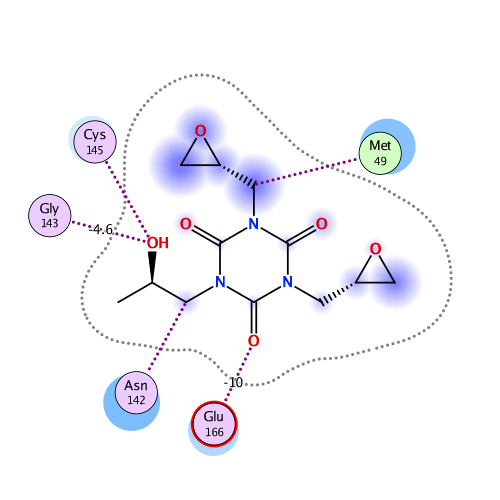 ligand interaction