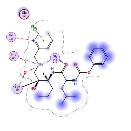 ligand interaction
