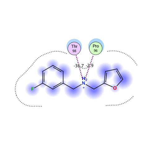 ligand interaction