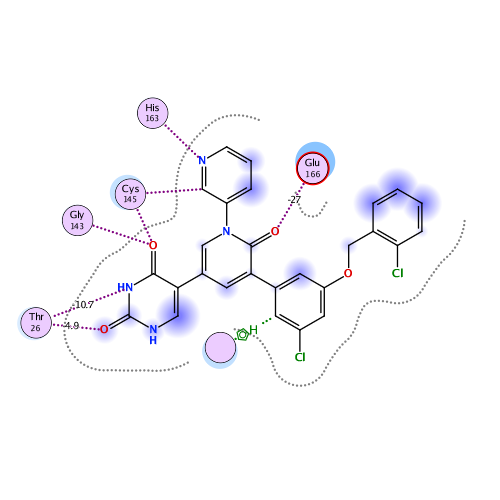 ligand interaction