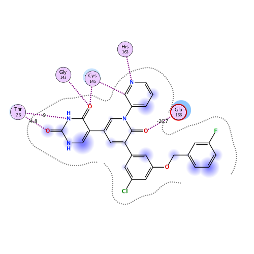 ligand interaction