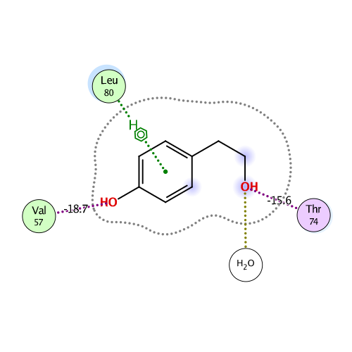 ligand interaction