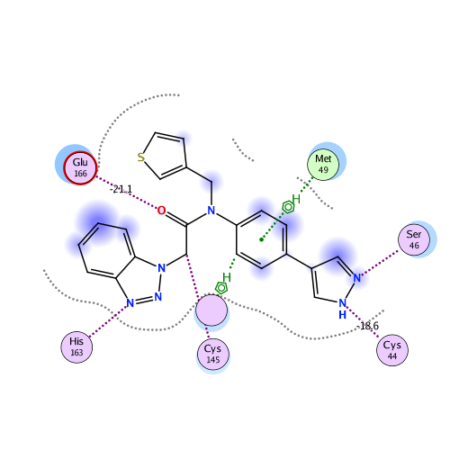 ligand interaction