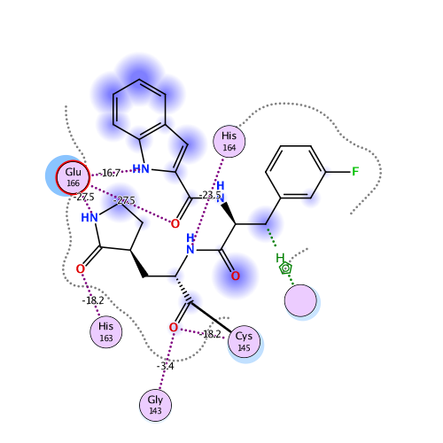 ligand interaction