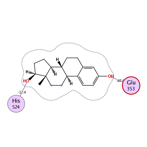 ligand interaction