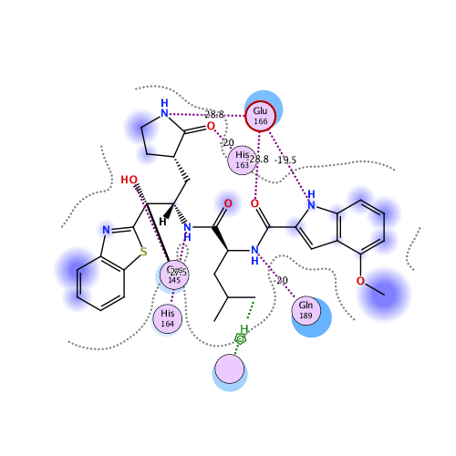 ligand interaction