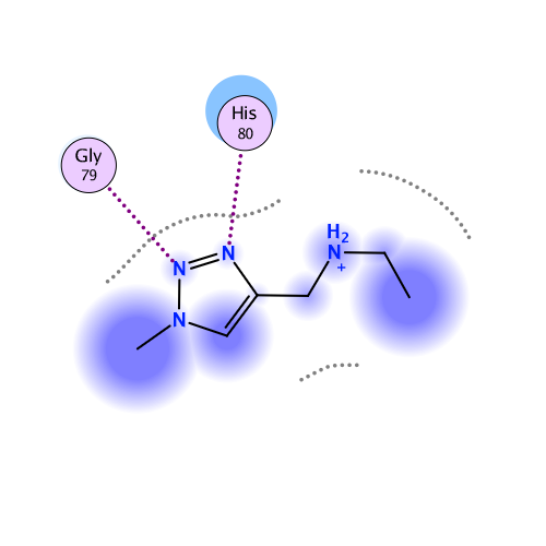 ligand interaction