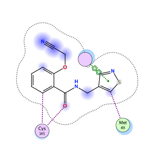 ligand interaction