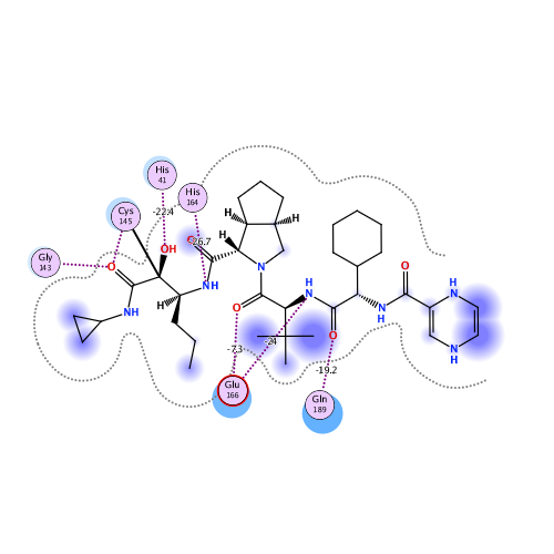 ligand interaction