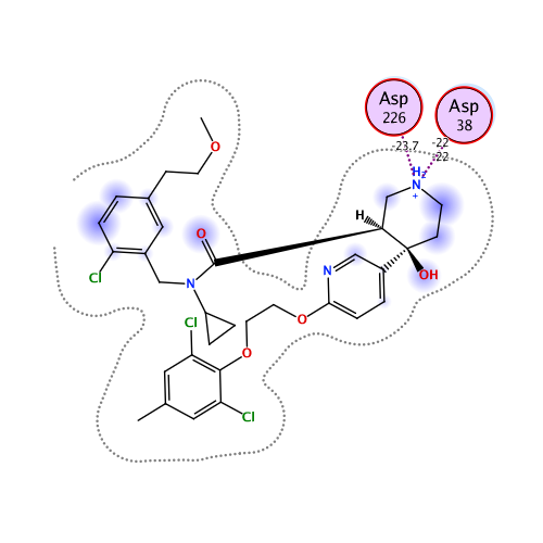 ligand interaction