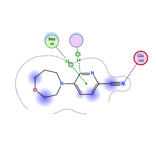 ligand interaction