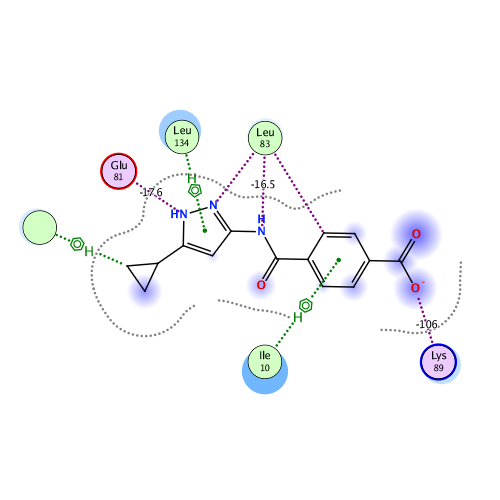 ligand interaction
