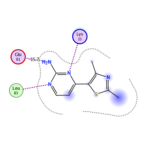 ligand interaction