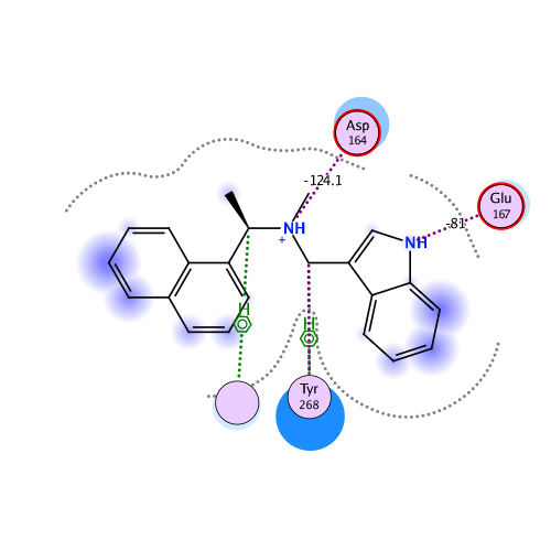 ligand interaction
