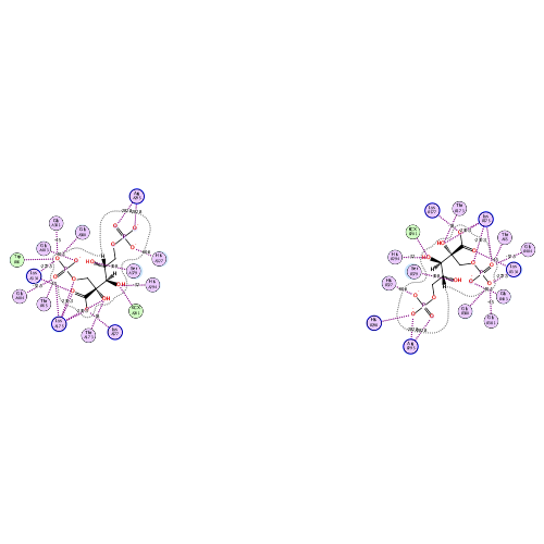ligand interaction