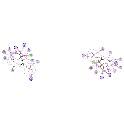 ligand interaction