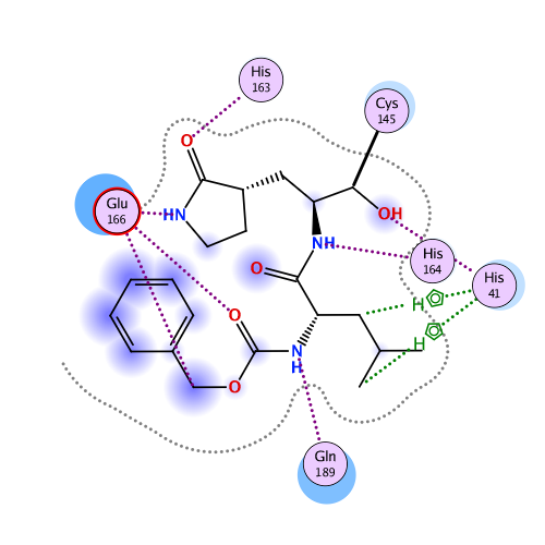 ligand interaction