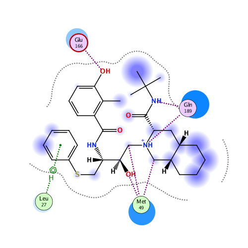 ligand interaction